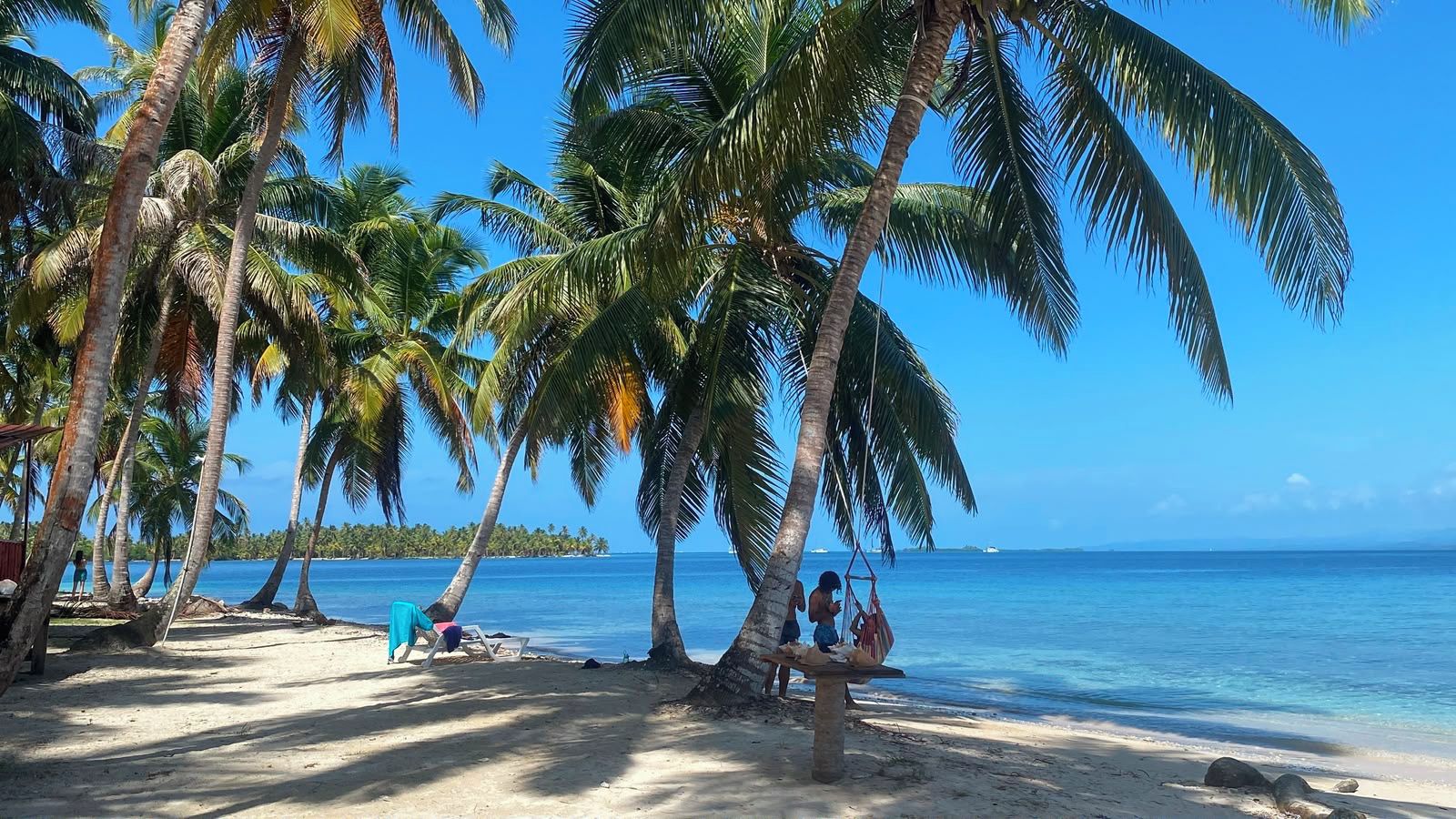 Una playa con palmeras y un cielo azul despejado.