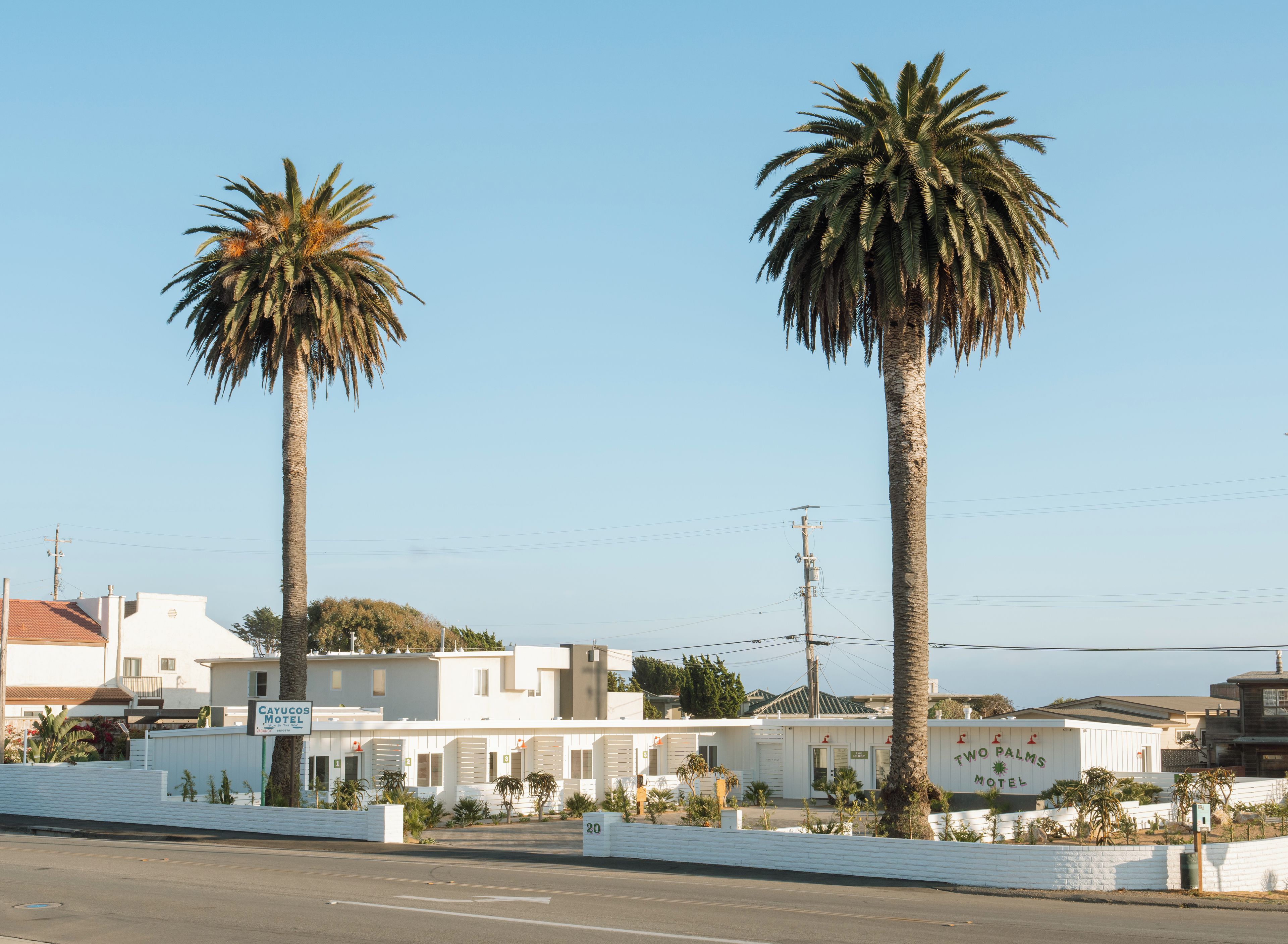 A motel with two prominent palm trees, a white building with a sign, and a clear sky.