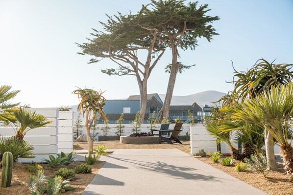 A pathway leading to a building with a modern design, surrounded by various plants and a large tree.