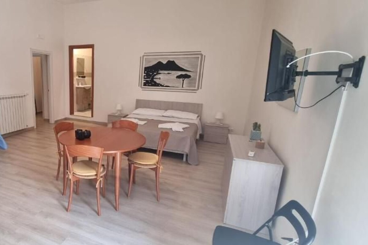 Une pièce comprenant un lit, une table à manger avec des chaises, un canapé, un téléviseur fixé au mur et un radiateur.
