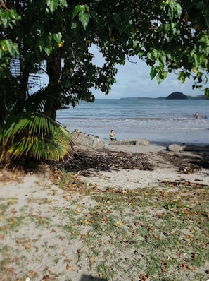 A beach with a palm tree, a concrete structure, and the sea in the background. - Charming beachfront villa, right on the water's edge (La Trinité)
