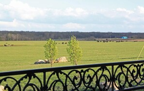 A fenced field with grazing cattle and a distant blue building. - Large country home with 4 en suite bedrooms, large living room & chefs kitchen (Amoret)