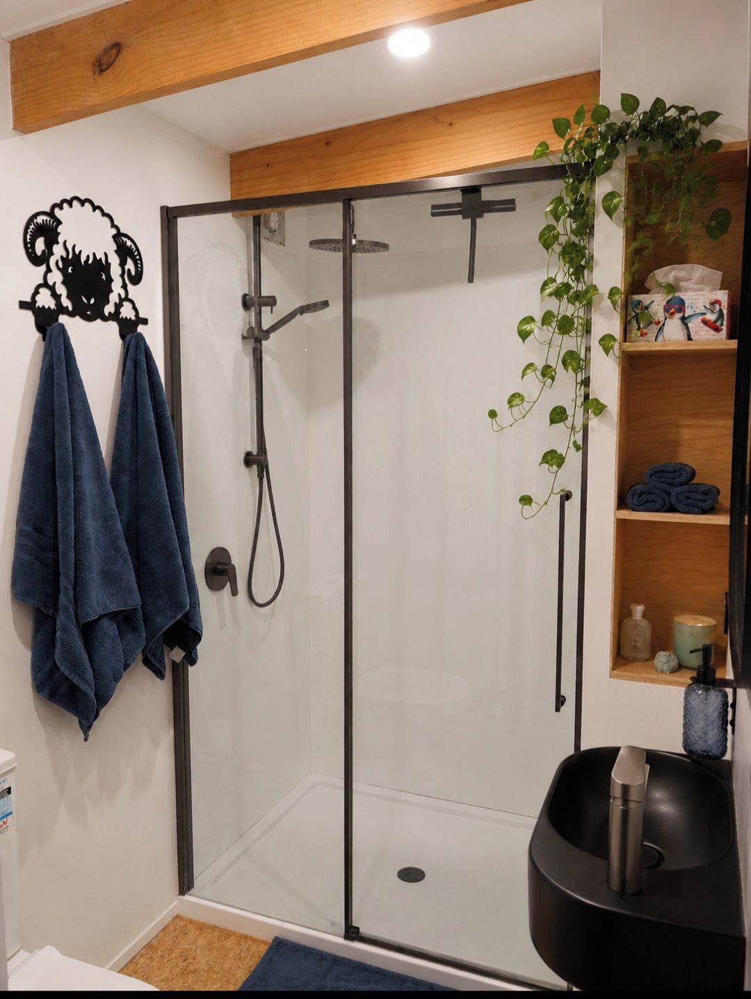 A modern bathroom with a glass-enclosed shower, a towel rack with two towels, a shelf with toiletries, and a hanging plant.