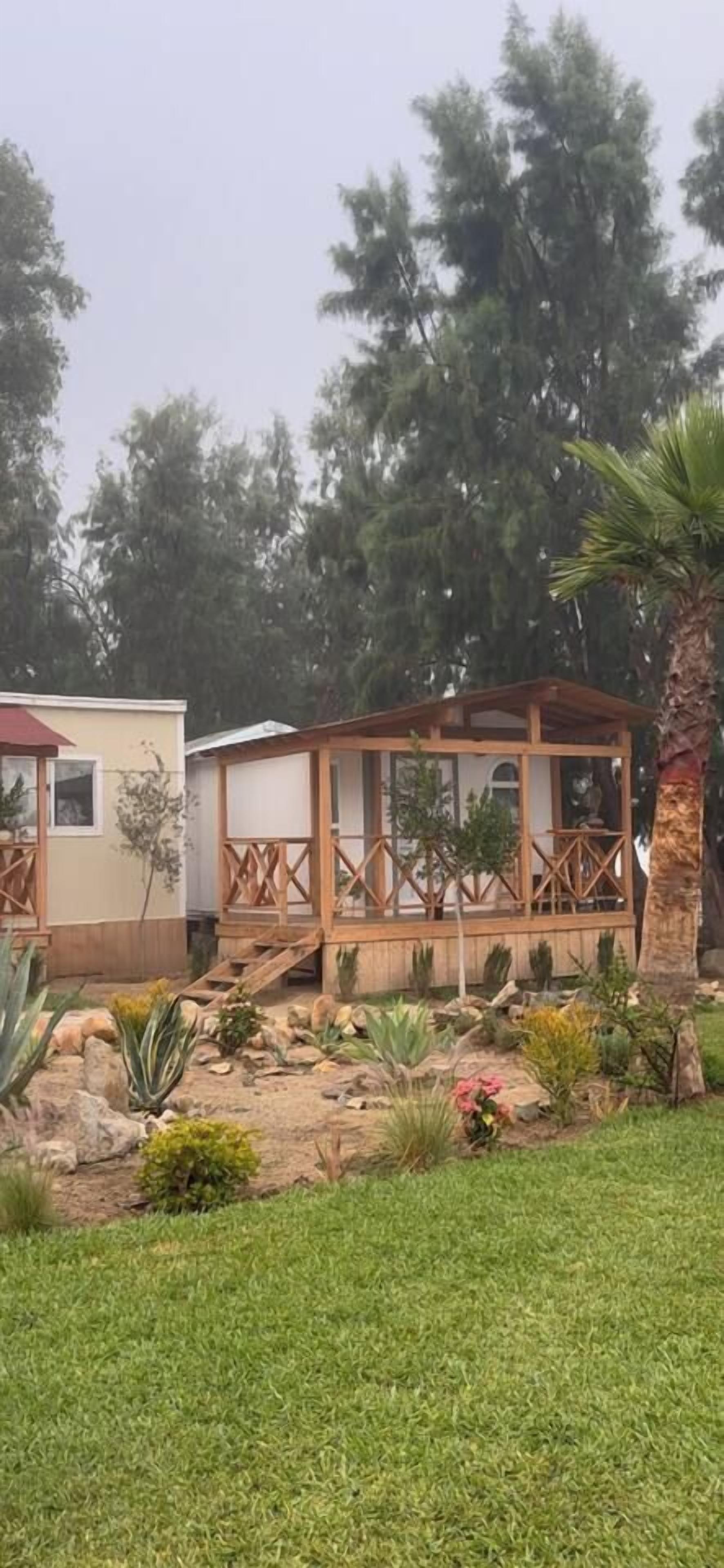 Uma casa com varanda coberta, um pequeno jardim com diversas plantas e uma palmeira.
