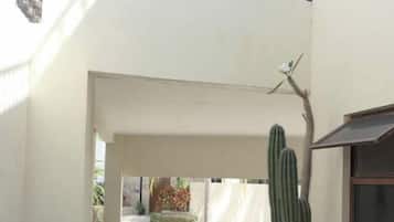 L'ingresso di un edificio con un giardino di cactus, una pianta in vaso e una ringhiera in metallo.