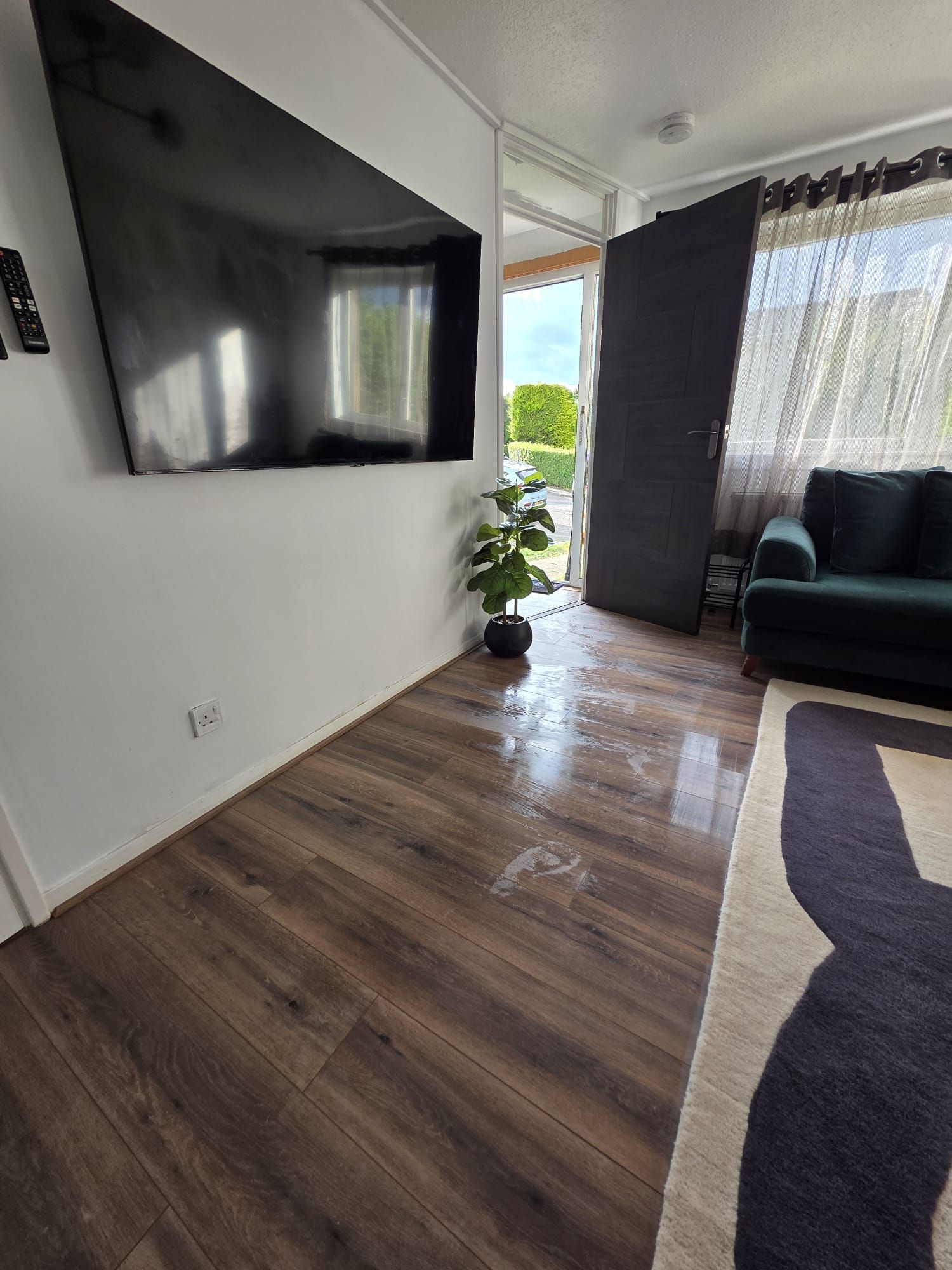 A living room with a large flat-screen TV mounted on the wall, a potted plant, a green sofa, and a wooden floor.
