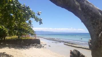 A beach with a large tree providing shade, a sandy shore, and a clear view of the ocean.