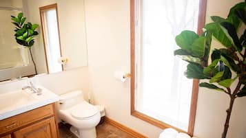 A bathroom with a toilet, sink, and mirror.