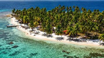 A tropical beach with clear turquoise waters, palm trees, and a small island with buildings.