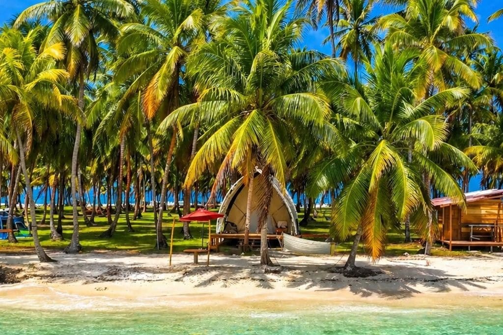 Una playa con palmeras, una cabaña de techo de paja y una estructura de madera.