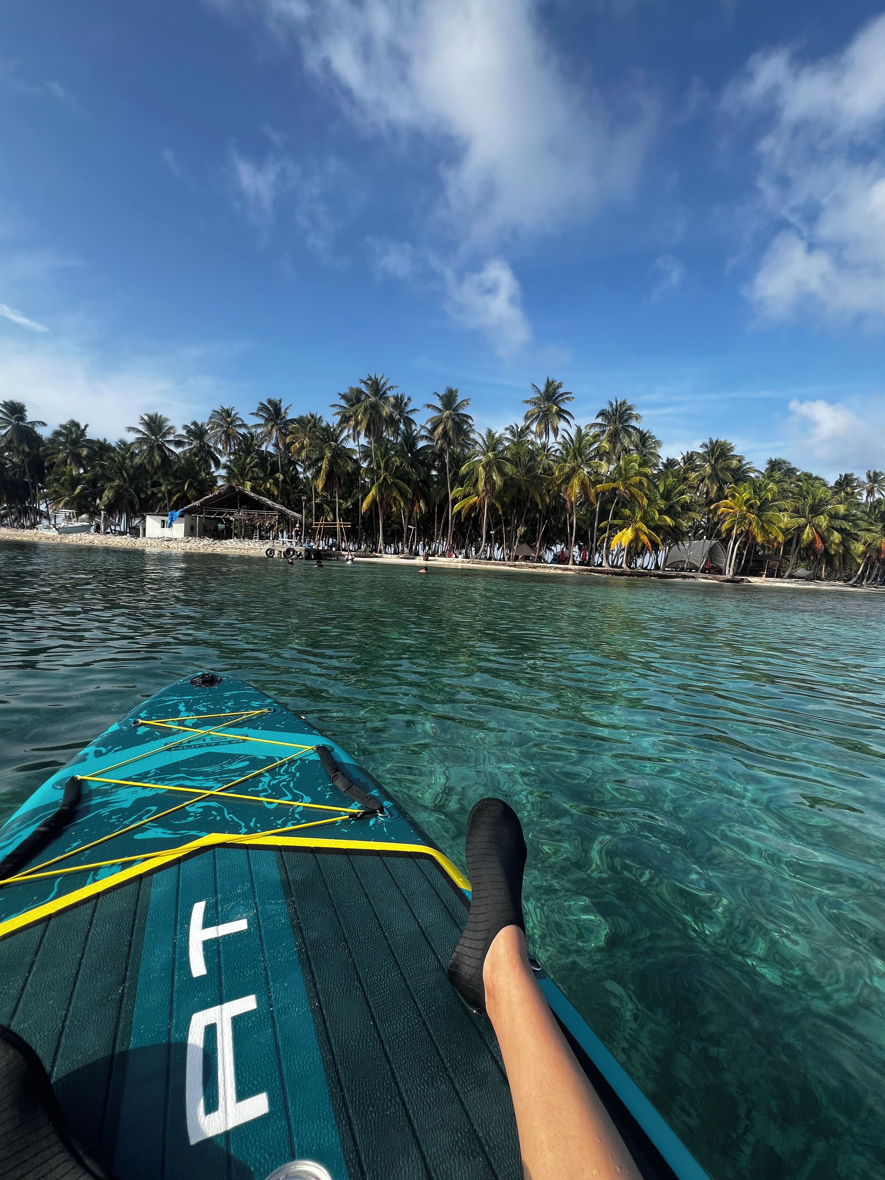 Vista despejada de una tabla de remo sobre aguas tranquilas, con una playa tropical y palmeras al fondo.
