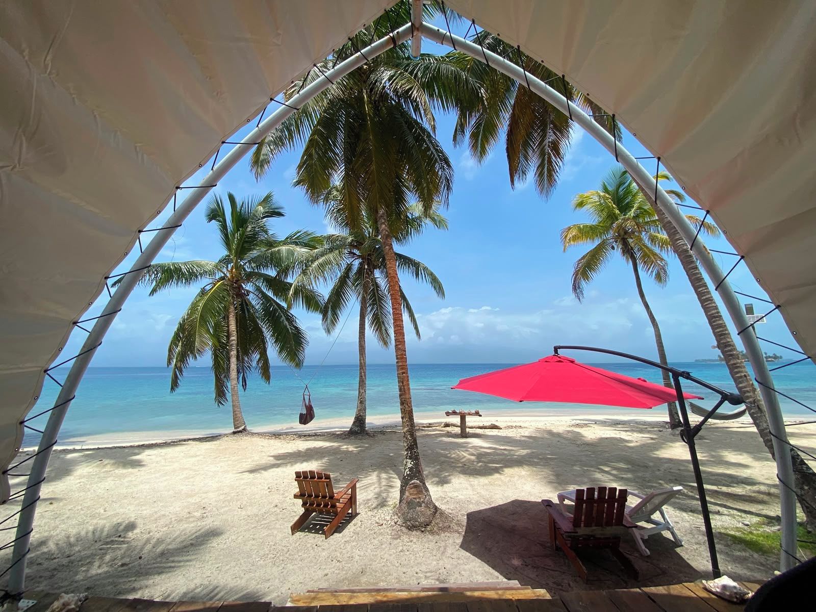 Vista de una playa con una sombrilla, palmeras y sillas de playa.
