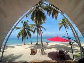 Vista de una playa con una sombrilla, palmeras y sillas de playa.