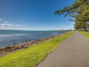 A coastal walkway with a paved path, grassy areas, and a view of the sea. - Napier Sea Views | Hawke's Bay (Napier)