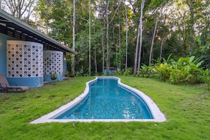 A swimming pool with a curved edge, surrounded by a well-maintained lawn and a variety of tropical plants. - Casa Tapa Dulce | Spacious Jungle Home with Pool (Paraíso)