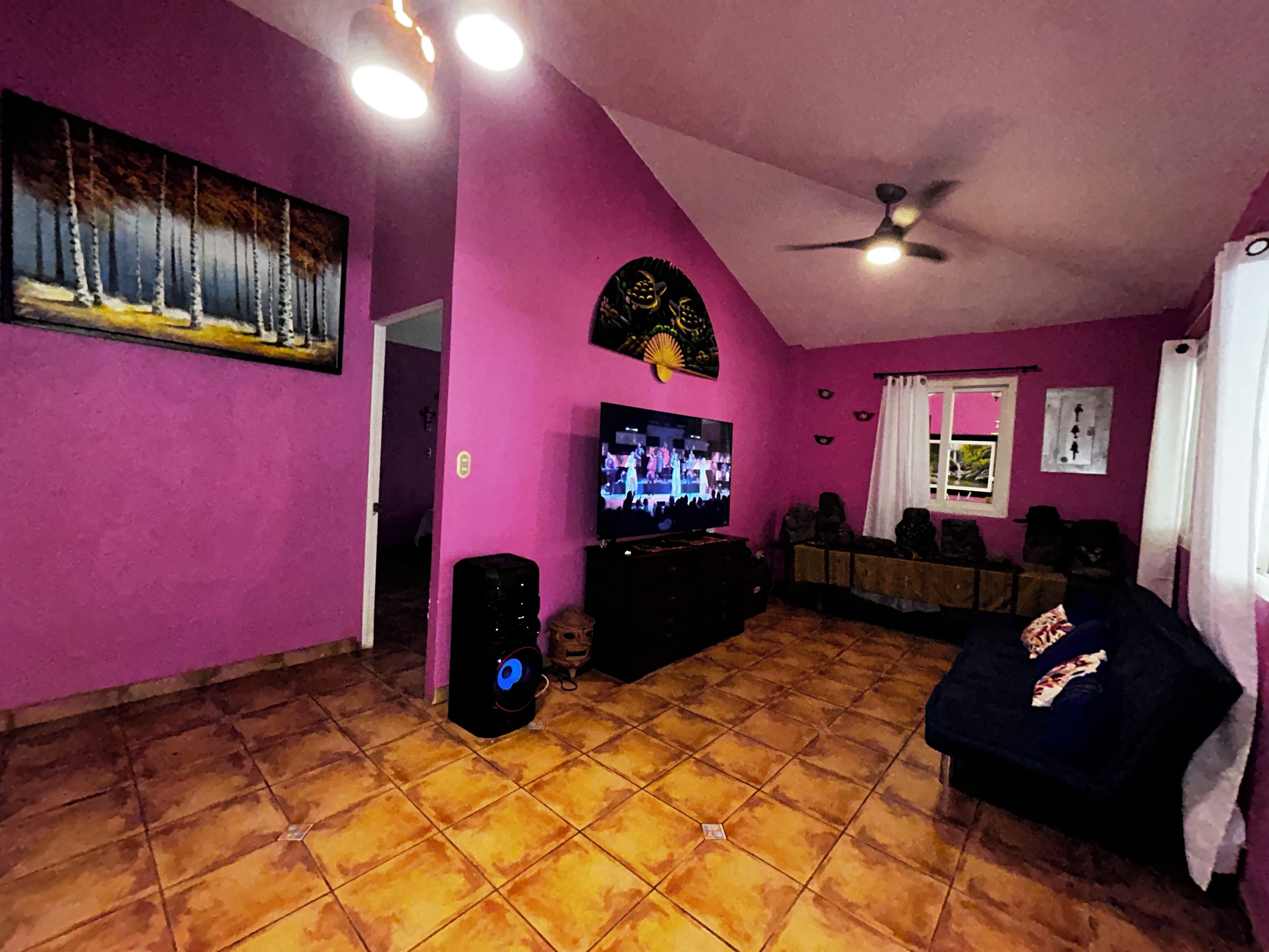 Una sala de estar con televisor, ventilador de techo y un cuadro en la pared.