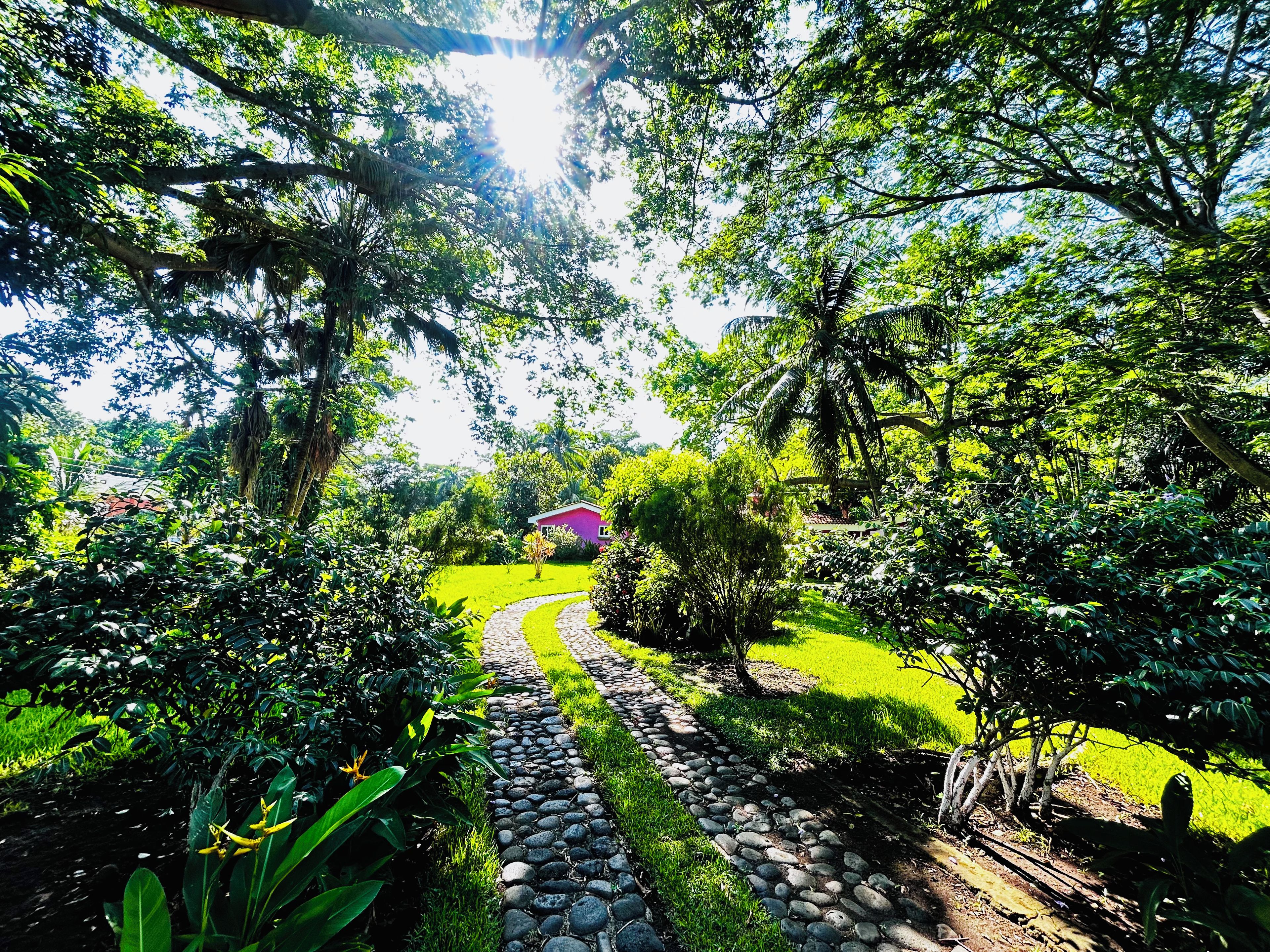 Un sendero en un jardín que lleva a una casa rodeada de exuberante vegetación y árboles.