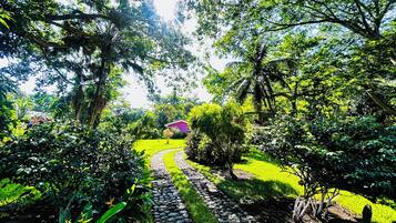 Un sendero en un jardín que lleva a una casa rodeada de exuberante vegetación y árboles.