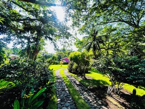 A garden pathway leading to a house surrounded by lush greenery and trees.