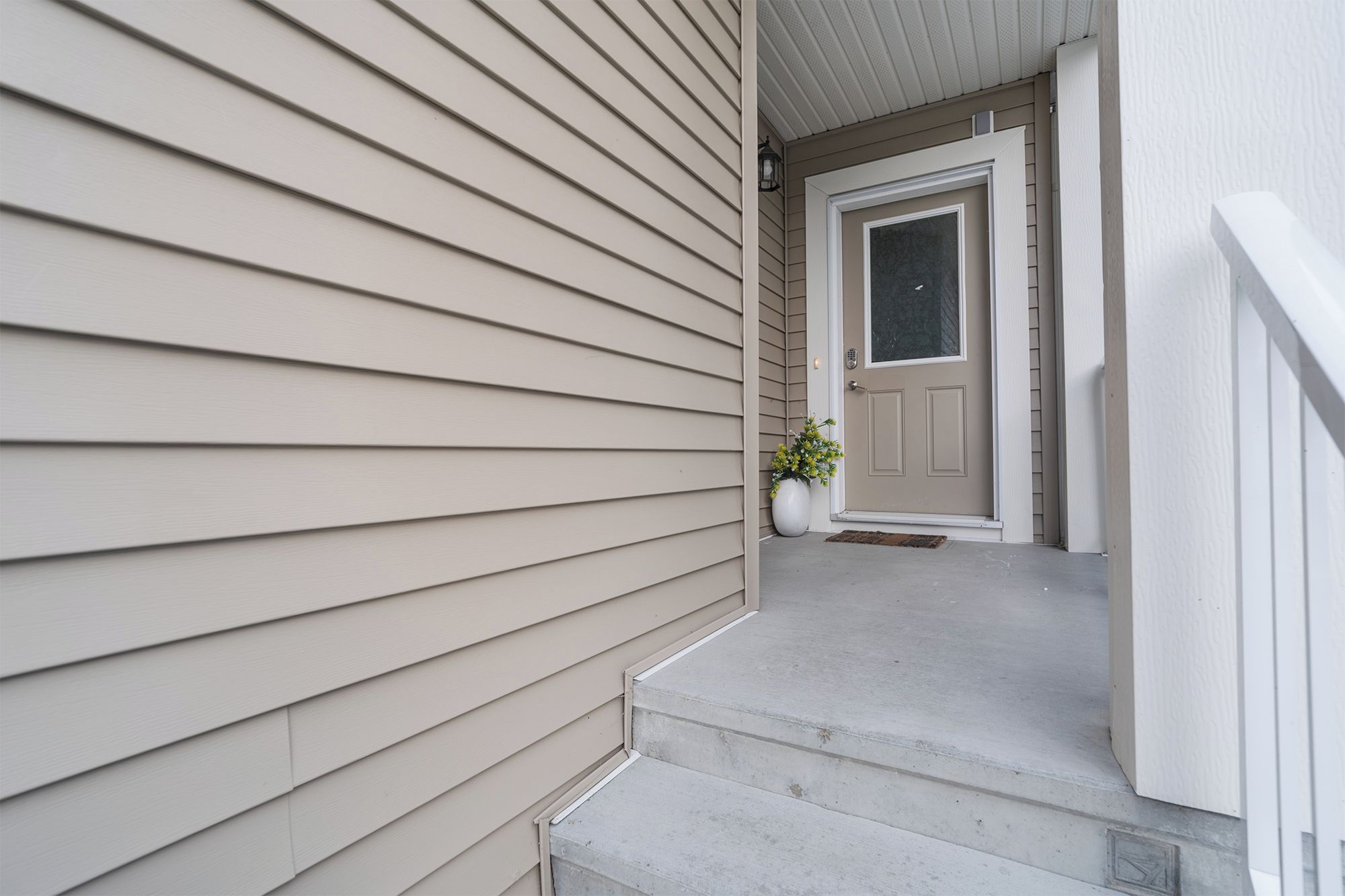 A house exterior with a front door, steps, and a potted plant.