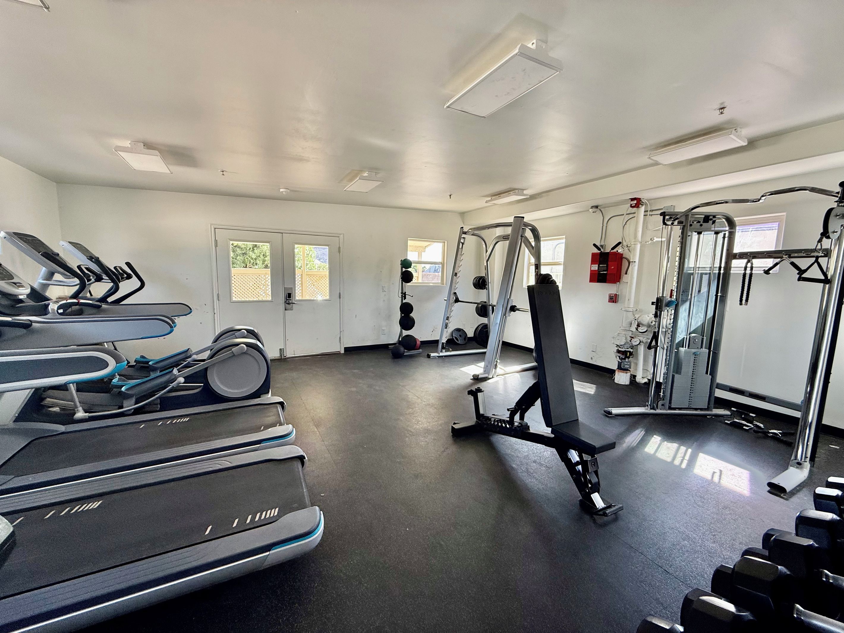 A gym with treadmills, weight machines, and free weights.