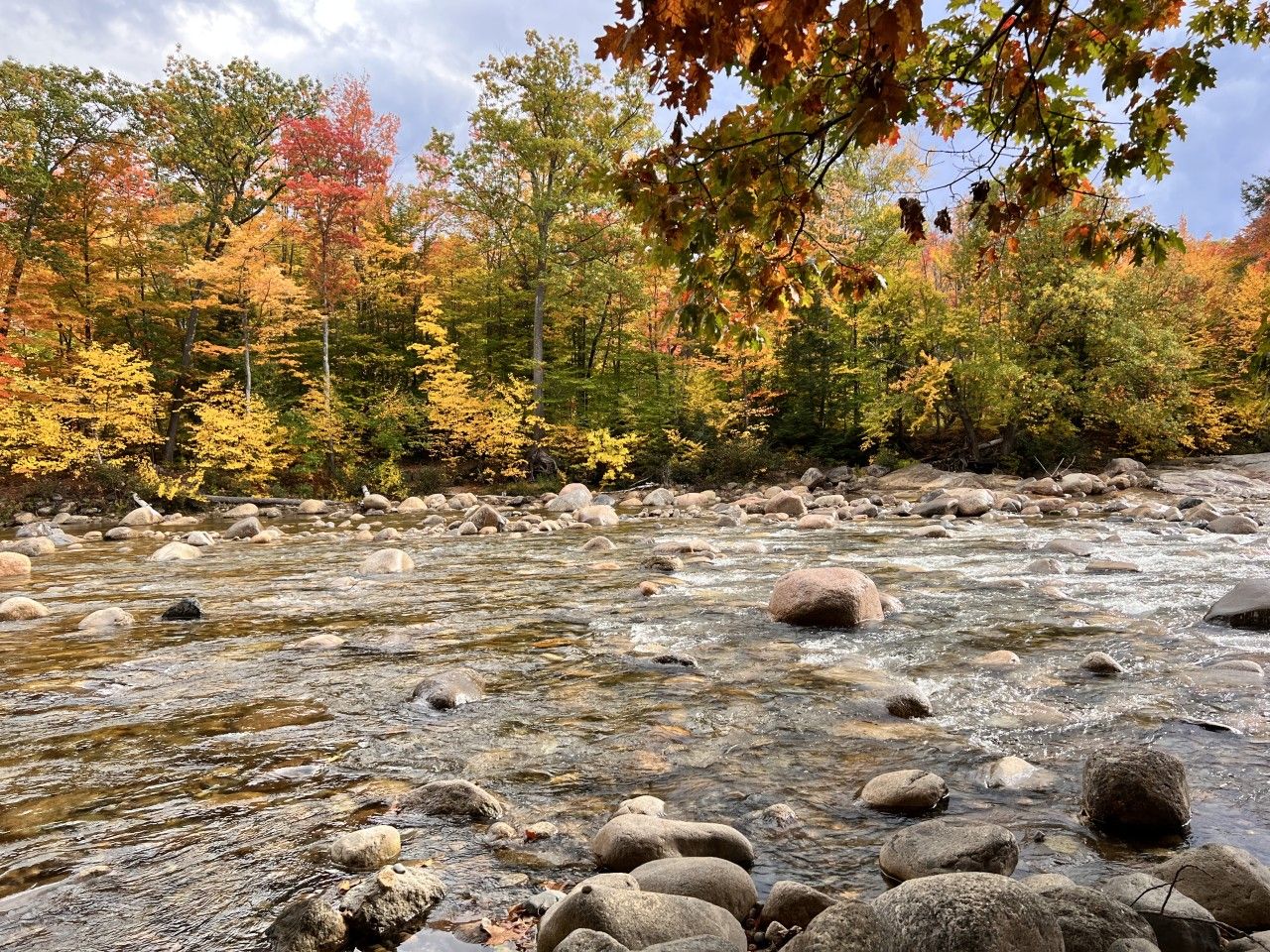 A river flowing through a forest with autumn-colored trees and rocks in the water.