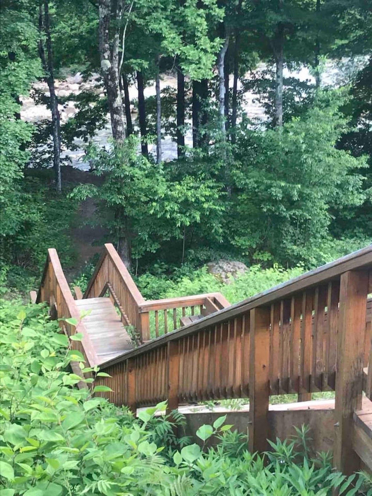 A wooden staircase leading up to a wooden deck surrounded by lush green foliage.