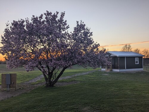 Cabin Alice, 1-bedroom cabin in the heart of Amish Country in charming Clare
