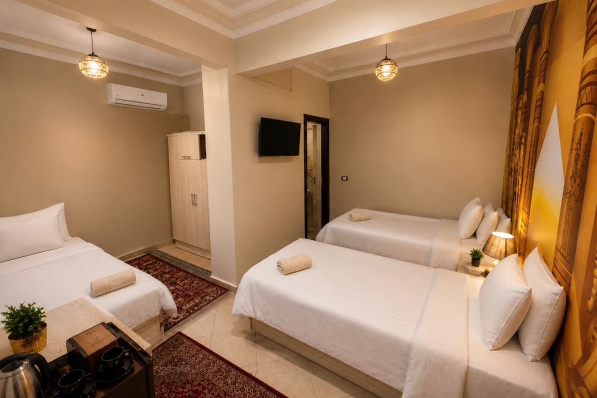 A hotel room with two beds, a TV, an air conditioning unit, and a small table with a plant.