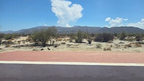 Paisaje desértico con vegetación escasa y montañas al fondo.