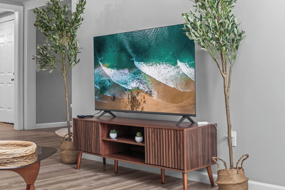 Un téléviseur posé sur un meuble en bois, avec une scène de plage affichée à l’écran, et deux plantes en pot de chaque côté.