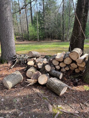 A forest with a pile of cut logs. - 1895 Cottage At Belle Knowle (Eldred)