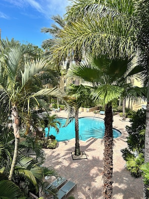 Ein Swimmingpool, umgeben von Palmen und einem Pflasterweg.
