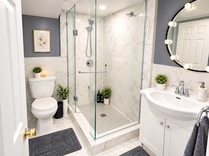Une salle de bain moderne avec une douche en verre, des toilettes, un lavabo avec un miroir et une plante en pot.