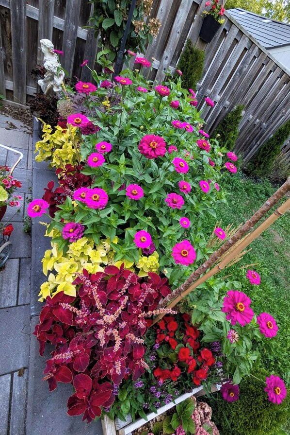 A garden with a variety of flowers and a wooden fence in the background.