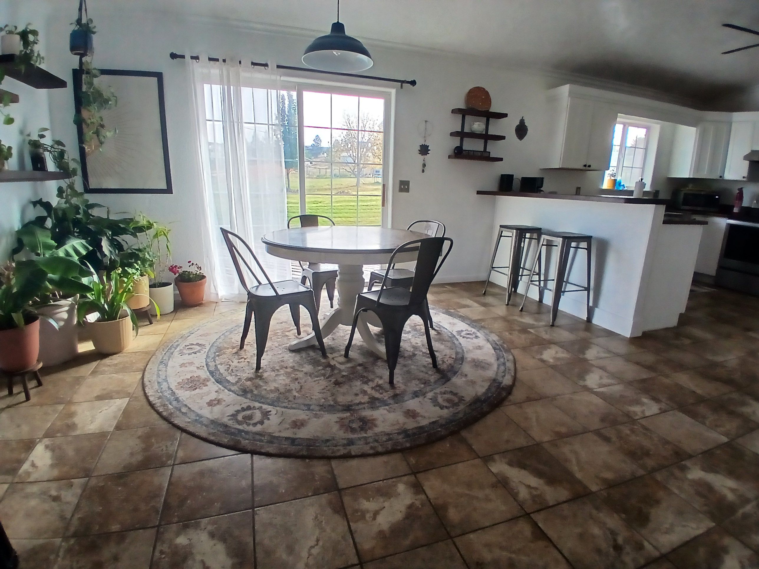 A dining area with a round table and chairs, a kitchen in the background, and potted plants on the floor.
