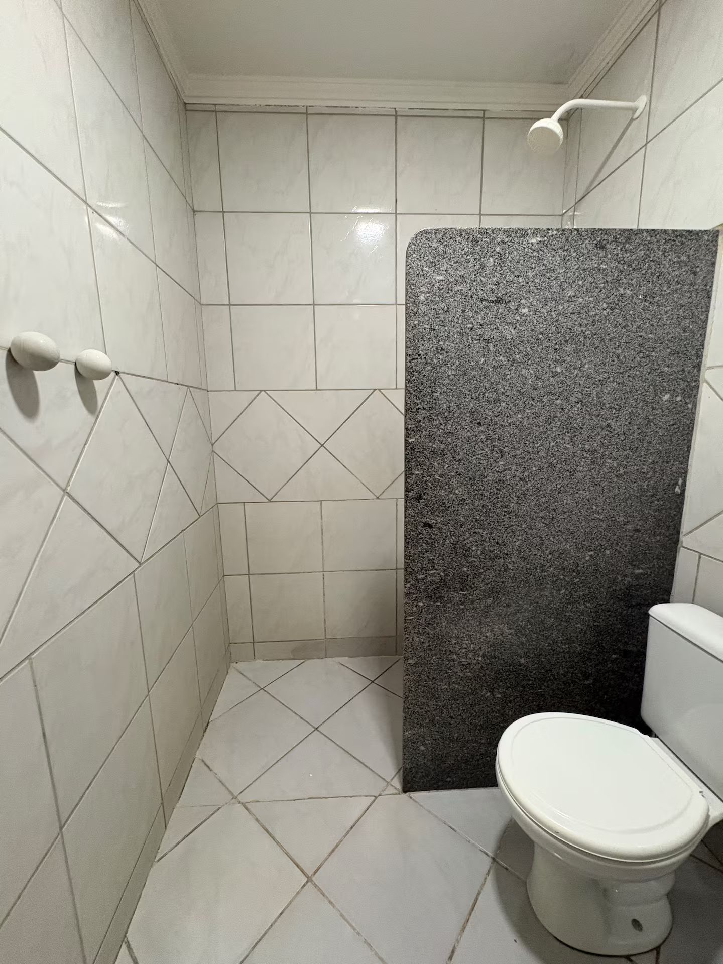 Casa de banho com azulejos brancos, sanita branca e área de duche com parede revestida a azulejos escuros com pontos.