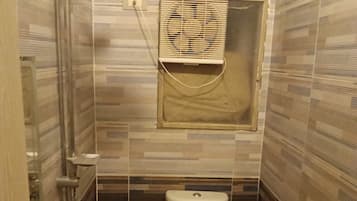 A compact bathroom with a toilet, a shower, and a small window.