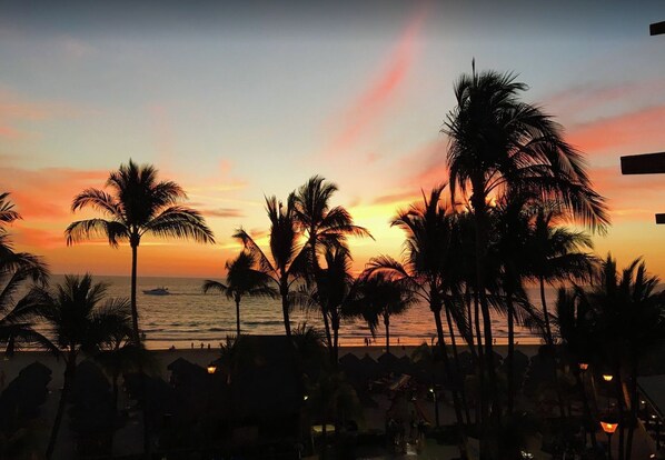 Une scène de plage avec des palmiers se découpant sur le ciel au coucher du soleil.
