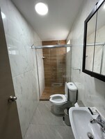 Un baño moderno con ducha envuelta en vidrio, inodoro y lavamanos.