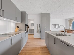 A modern kitchen with grey cabinetry, stainless steel appliances, and a central island with a sink. - "Fita" - 450m from the sea by Interhome (Ringkøbing)