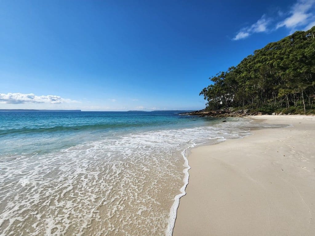A beach with clear blue water, sandy shore, and a forested hill in the background.