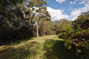 A natural landscape with a grassy area, trees, and a wooden fence.