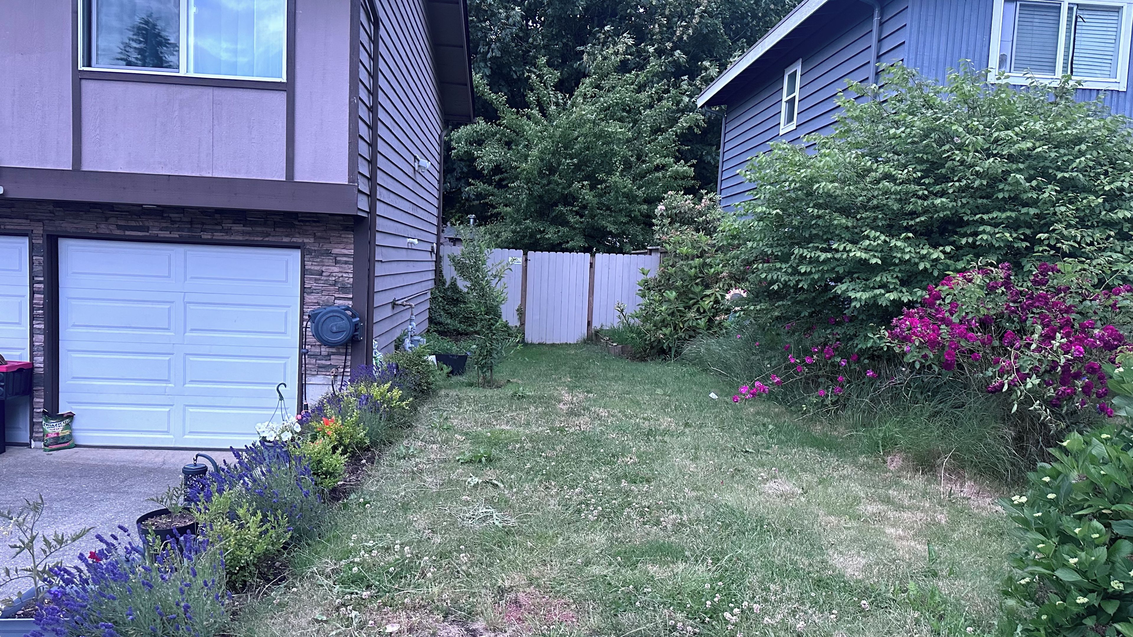 A residential property with a garage, a fenced yard, and various plants.