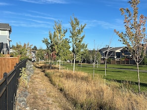 A residential area with a pathway, young trees, and houses.