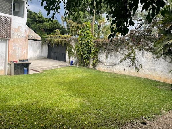 A grassy backyard with a concrete patio, a wall with climbing plants, and a tree.