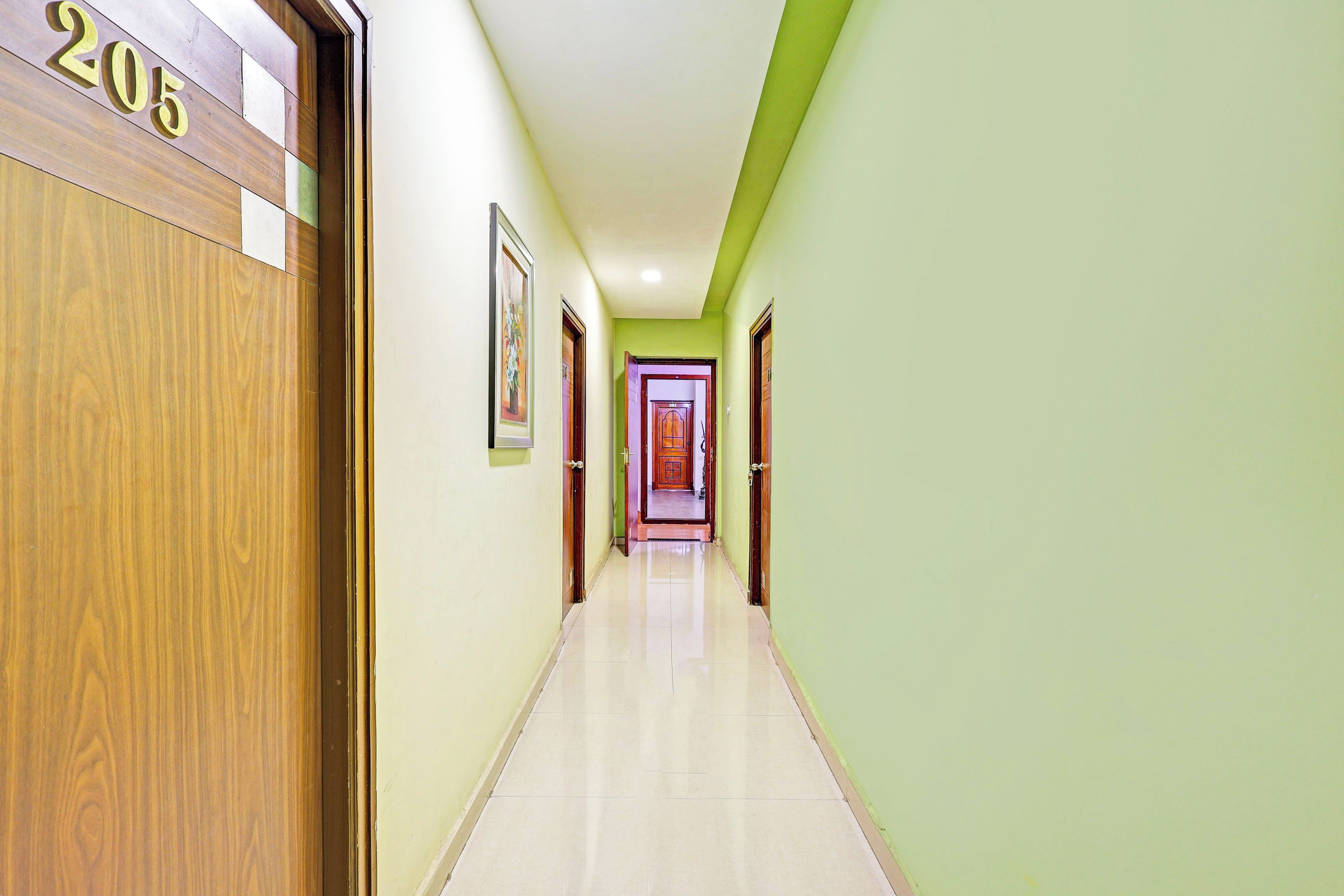 Um corredor com porta de madeira marcada '205', um quadro na parede e outra porta no final, dando acesso a outro quarto.