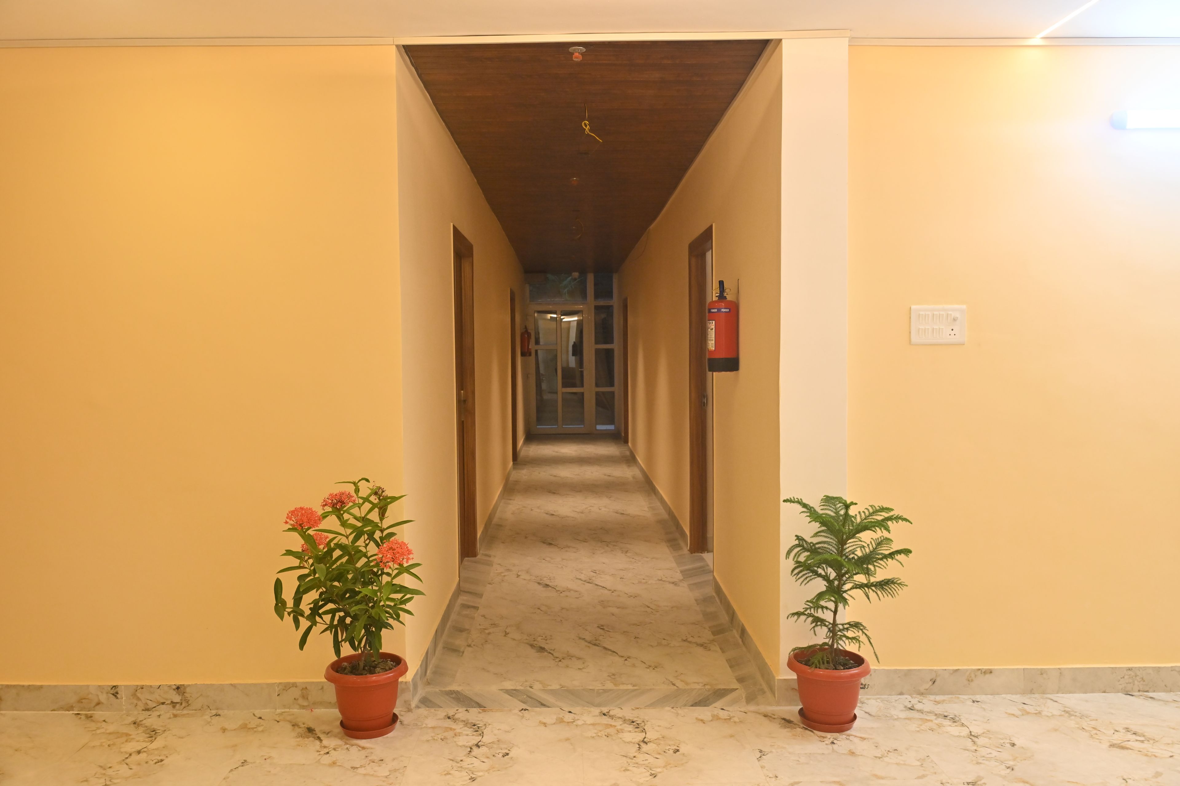 A hallway with a wooden ceiling, a fire extinguisher mounted on the wall, and two potted plants on either side.