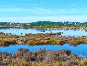 A natural landscape with a body of water, vegetation, and a distant town. - Tranquil Mediterranean Oasis in Croatia (Hyères)