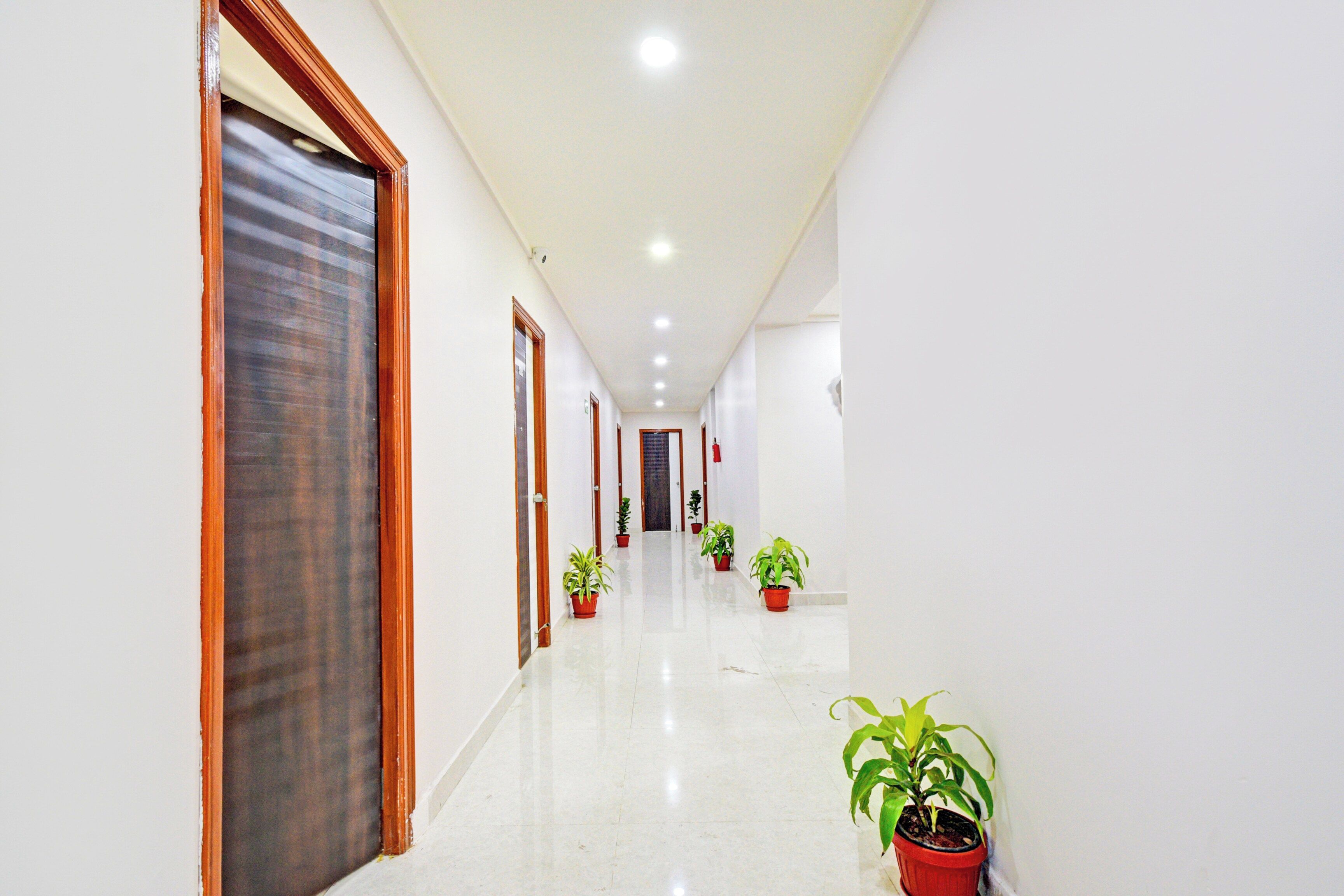 A corridor with doors, potted plants, and a tiled floor.